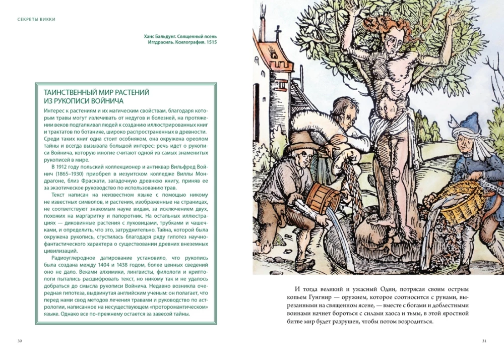 Магические животные. Магические растения (комплект из 2-х книг в коробе)