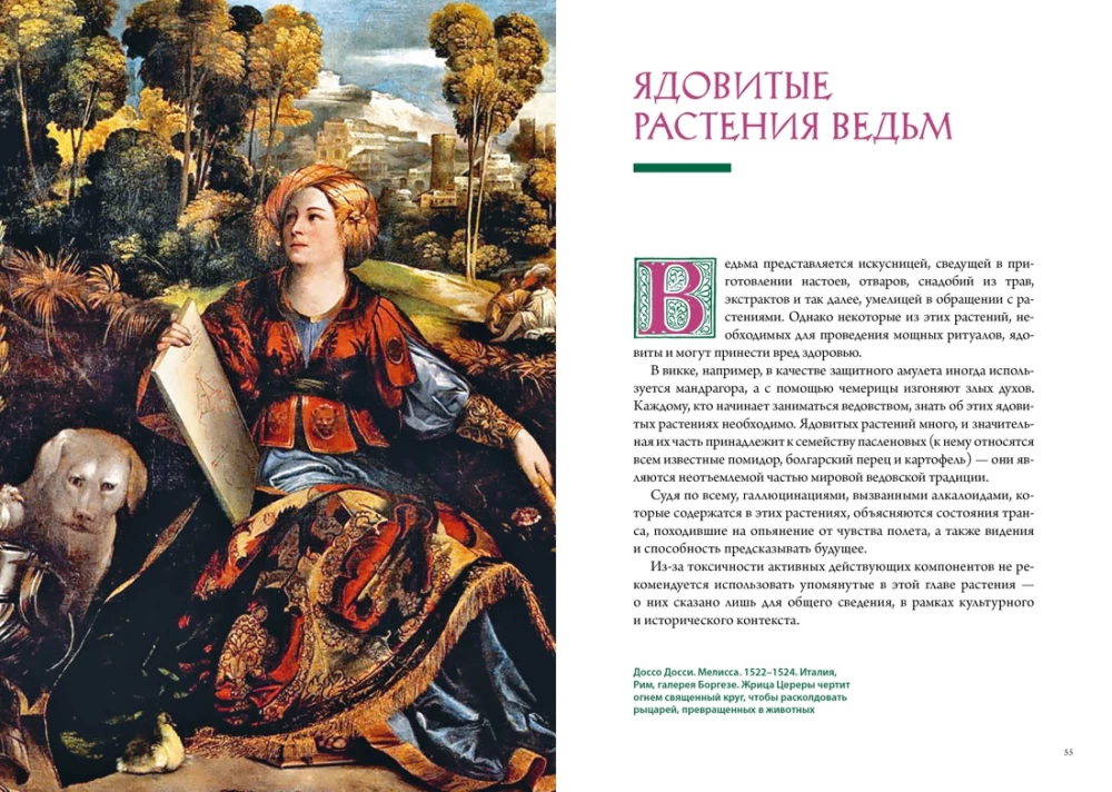 Магические животные. Магические растения (комплект из 2-х книг в коробе)