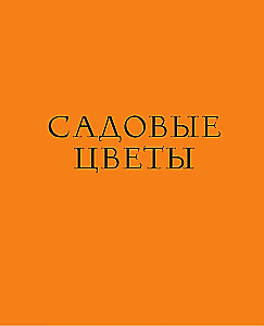 Spalvų gramatika. Iliustruotas gėlių simbolių, gydomųjų savybių ir augalų naudojimo vadovas