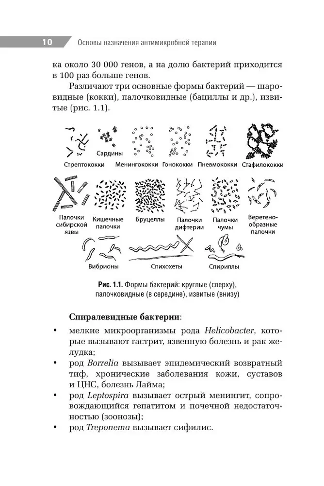 Antimikrobielle Therapie in der Kinderheilkunde