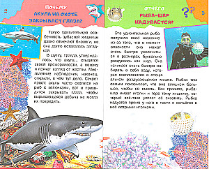 Enzyklopädie-Quiz