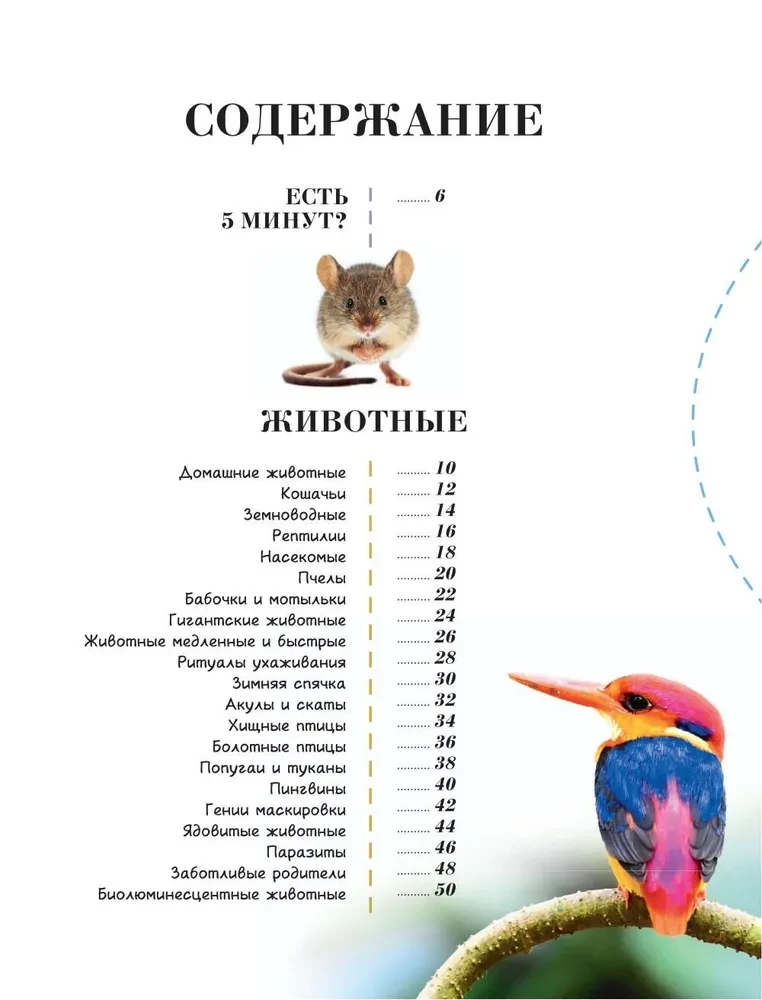 100 tysięcy dlaczego na każdy dzień. Natura