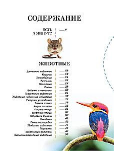 100 tysięcy dlaczego na każdy dzień. Natura