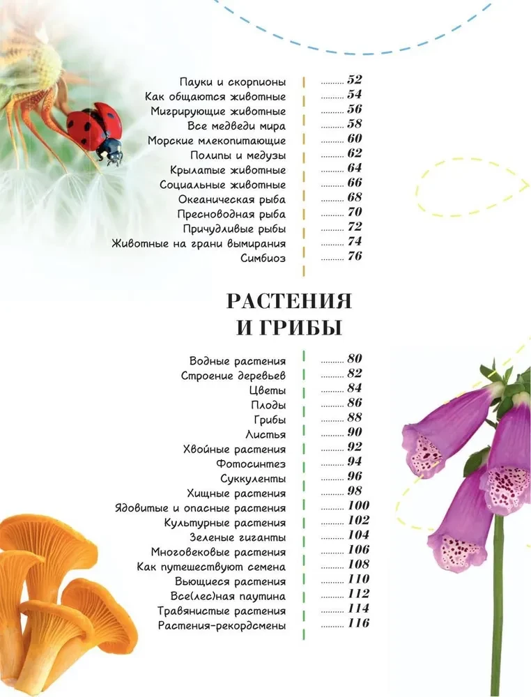 100 tysięcy dlaczego na każdy dzień. Natura