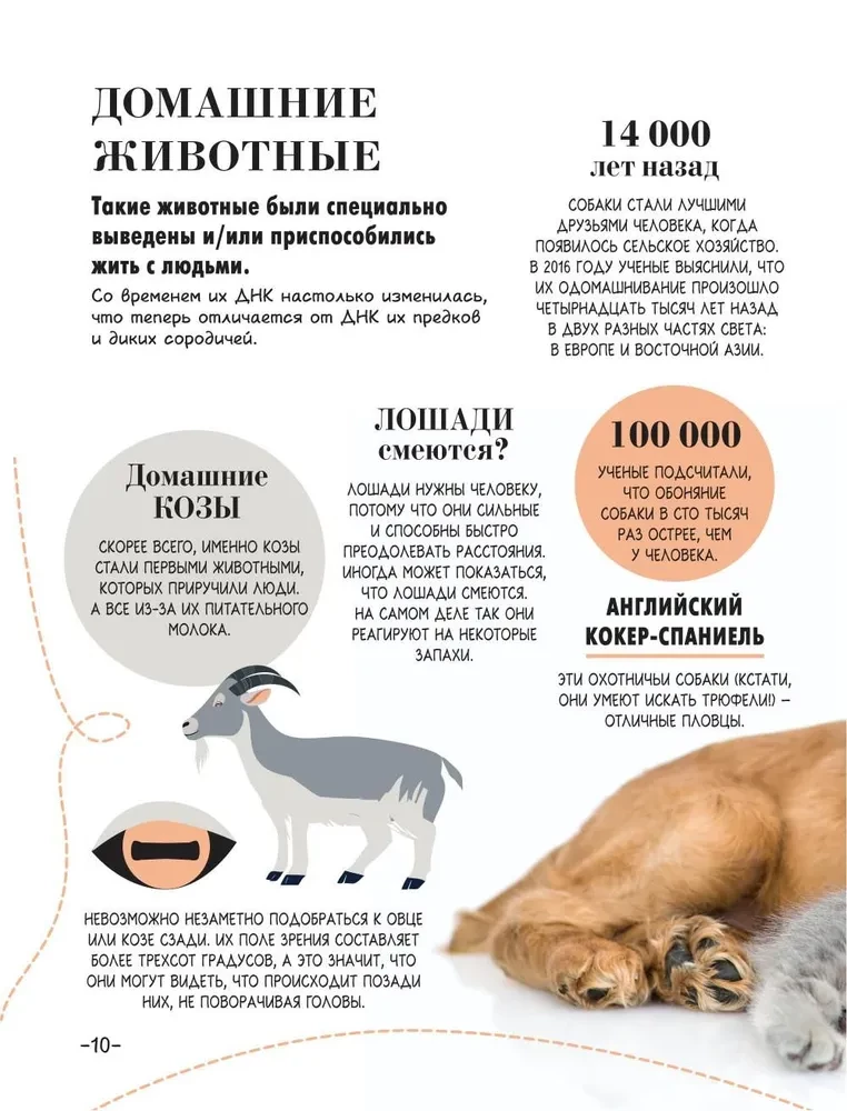 100 tysięcy dlaczego na każdy dzień. Natura