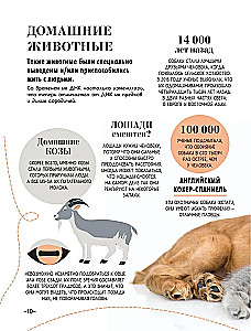 100 tysięcy dlaczego na każdy dzień. Natura