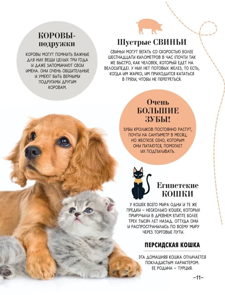 100 tysięcy dlaczego na każdy dzień. Natura