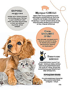 100 tysięcy dlaczego na każdy dzień. Natura
