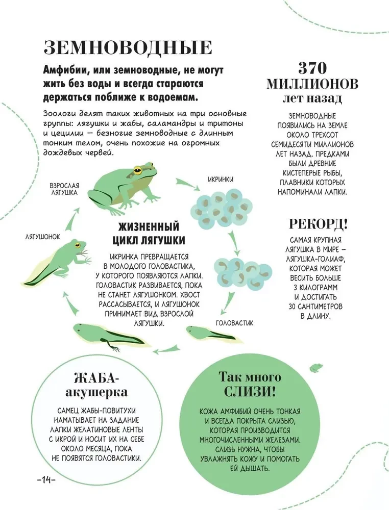 100 tysięcy dlaczego na każdy dzień. Natura