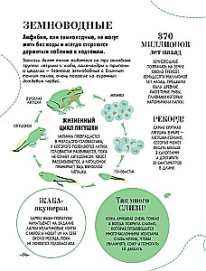 100 tysięcy dlaczego na każdy dzień. Natura