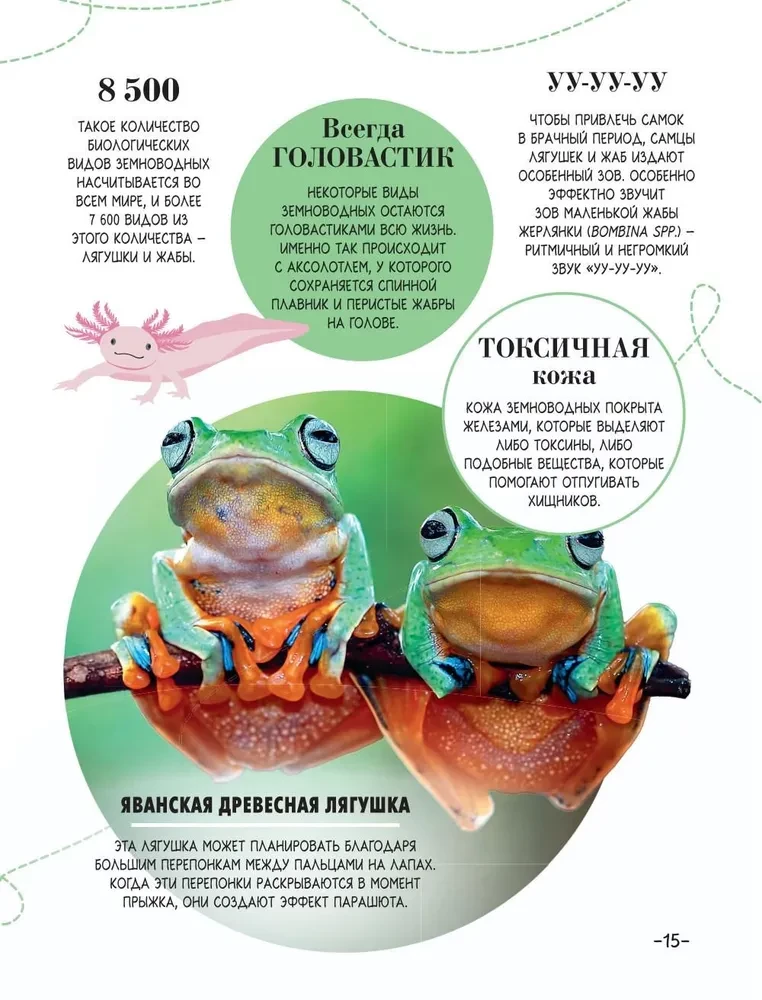 100 tysięcy dlaczego na każdy dzień. Natura