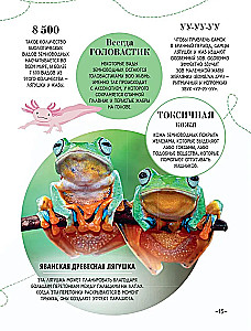 100 tysięcy dlaczego na każdy dzień. Natura