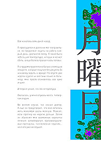Wenn alle Katzen der Welt verschwinden. Exklusive Ausgabe mit farbigen Illustrationen