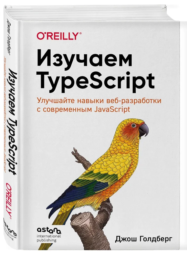 Poznajemy TypeScript. Popraw swoje umiejętności w zakresie tworzenia stron internetowych z nowoczesnym JavaScript