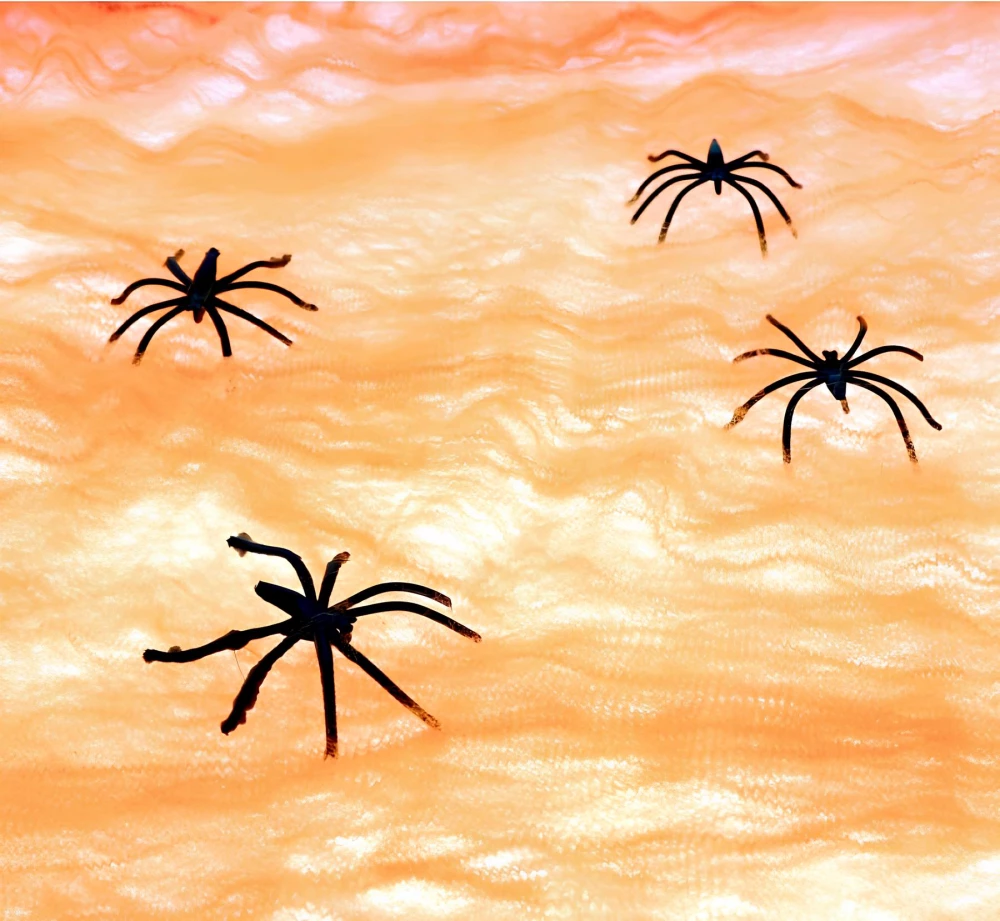 Decor - Spider Web, Orange