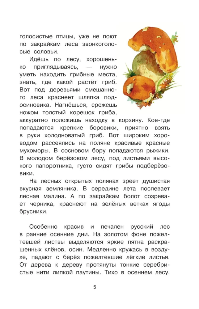 Русский лес