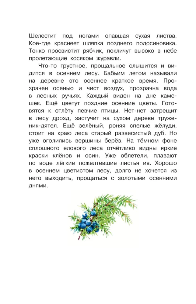 Русский лес