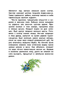 Русский лес