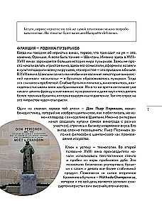 Musujące. Od prosecco i cavy do szampana. Historia, regiony, wybór