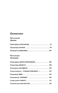 Designer Zhorka. Zweites Buch. Die Silbermine