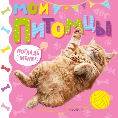Minu lemmikloomad