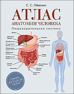 Atlas der Anatomie des Menschen. Verdauungssystem