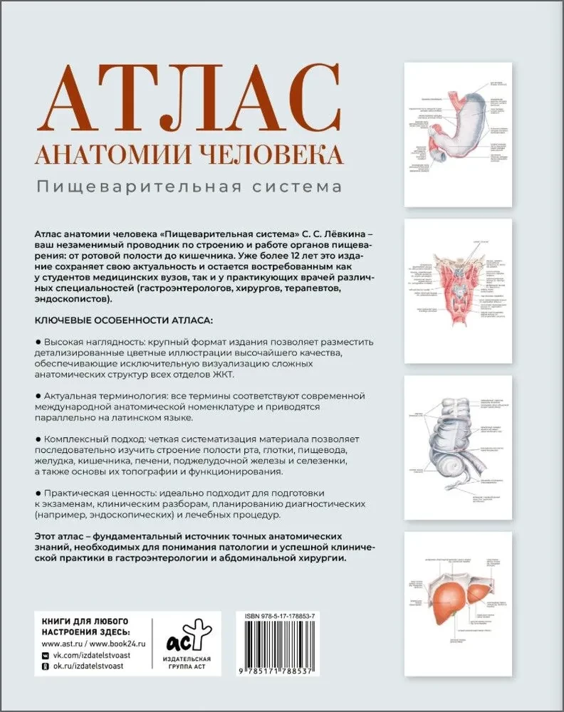 Atlas der Anatomie des Menschen. Verdauungssystem