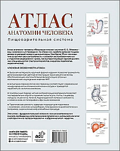 Atlas der Anatomie des Menschen. Verdauungssystem