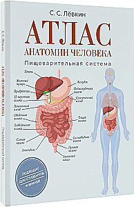 Atlas der Anatomie des Menschen. Verdauungssystem