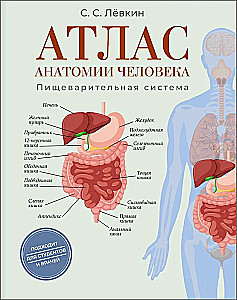 Atlas der Anatomie des Menschen. Verdauungssystem