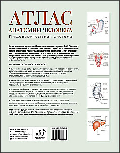 Atlas der Anatomie des Menschen. Verdauungssystem