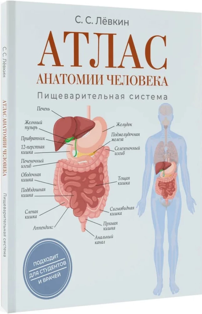 Atlas der Anatomie des Menschen. Verdauungssystem