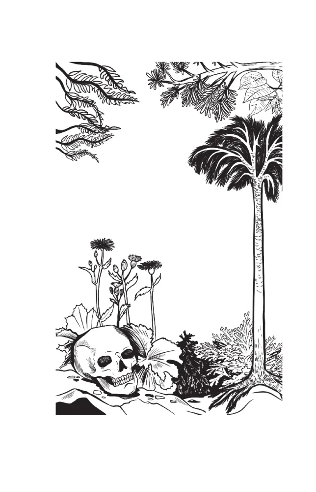 The Botanist of the Anthropologist. How Plants Created Humans. Gosh