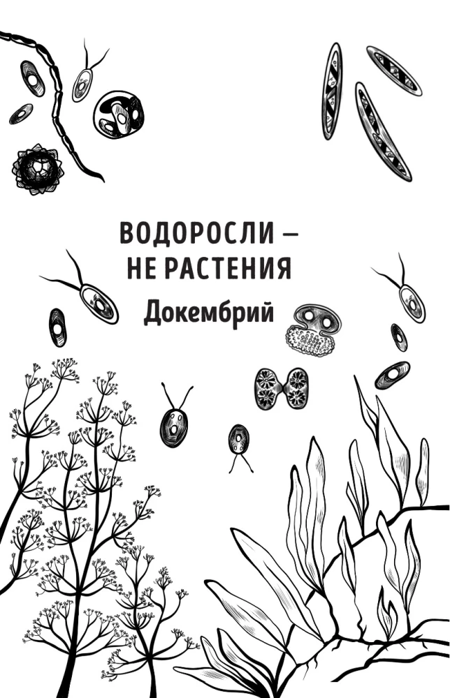The Botanist of the Anthropologist. How Plants Created Humans. Gosh