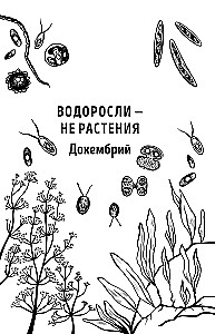 The Botanist of the Anthropologist. How Plants Created Humans. Gosh
