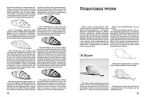 Рисование простым карандашом