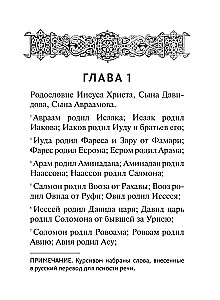 Svētā Evaņģēlija ar ilustrācijām
