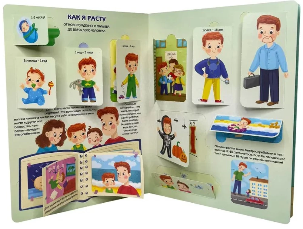 Encyklopedia z okienkami. Jak rosnę