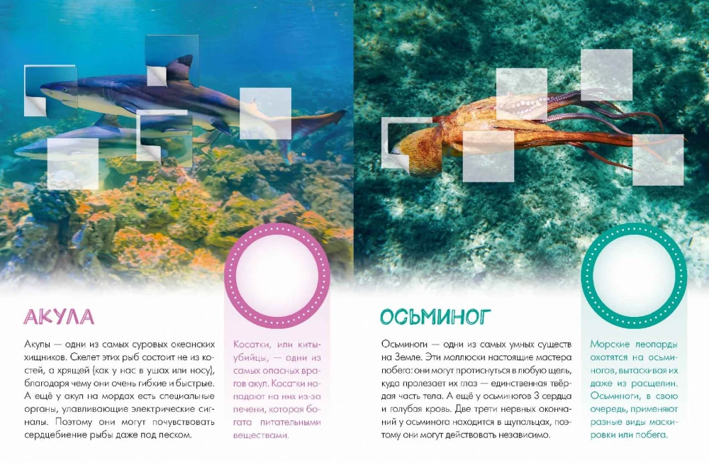 Who Lives Underwater?