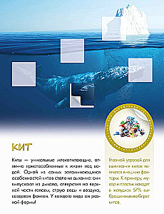 Who Lives Underwater?