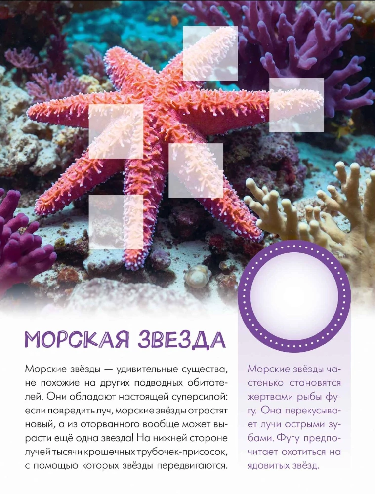 Who Lives Underwater?