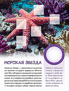 Who Lives Underwater?