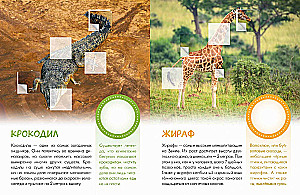 Who Lives in the Zoo?