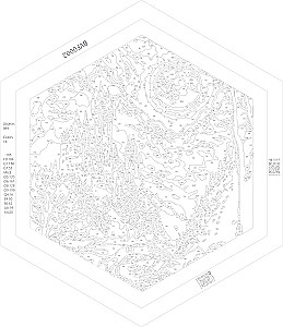 Malerei nach Zahlen schwarzer Leinwand. Hexagon 37x32cm - Schloss im Mondlicht