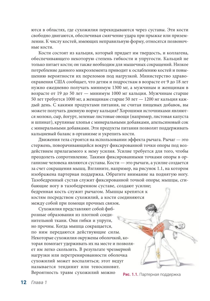 Anatomia Tańca