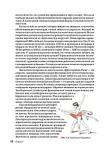 Anatomia Tańca