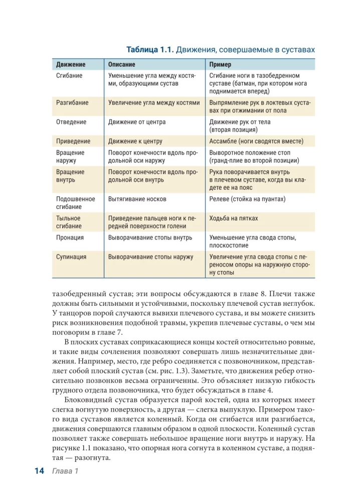 Anatomia Tańca