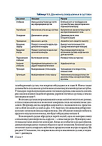 Anatomia Tańca
