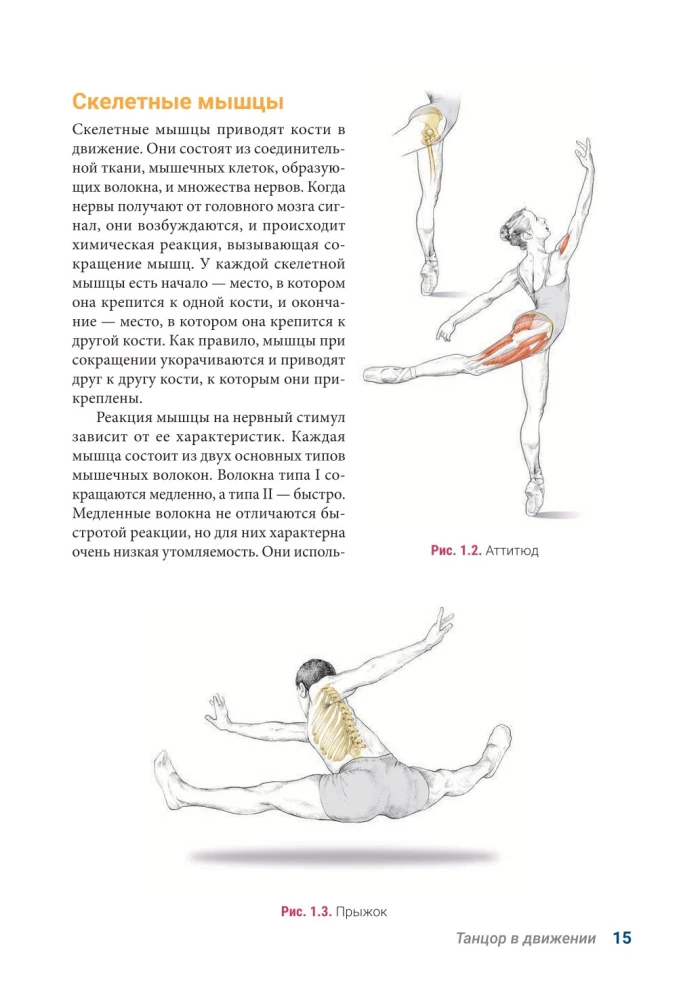 Anatomia Tańca