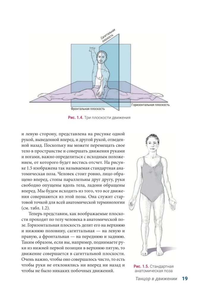 Anatomia Tańca